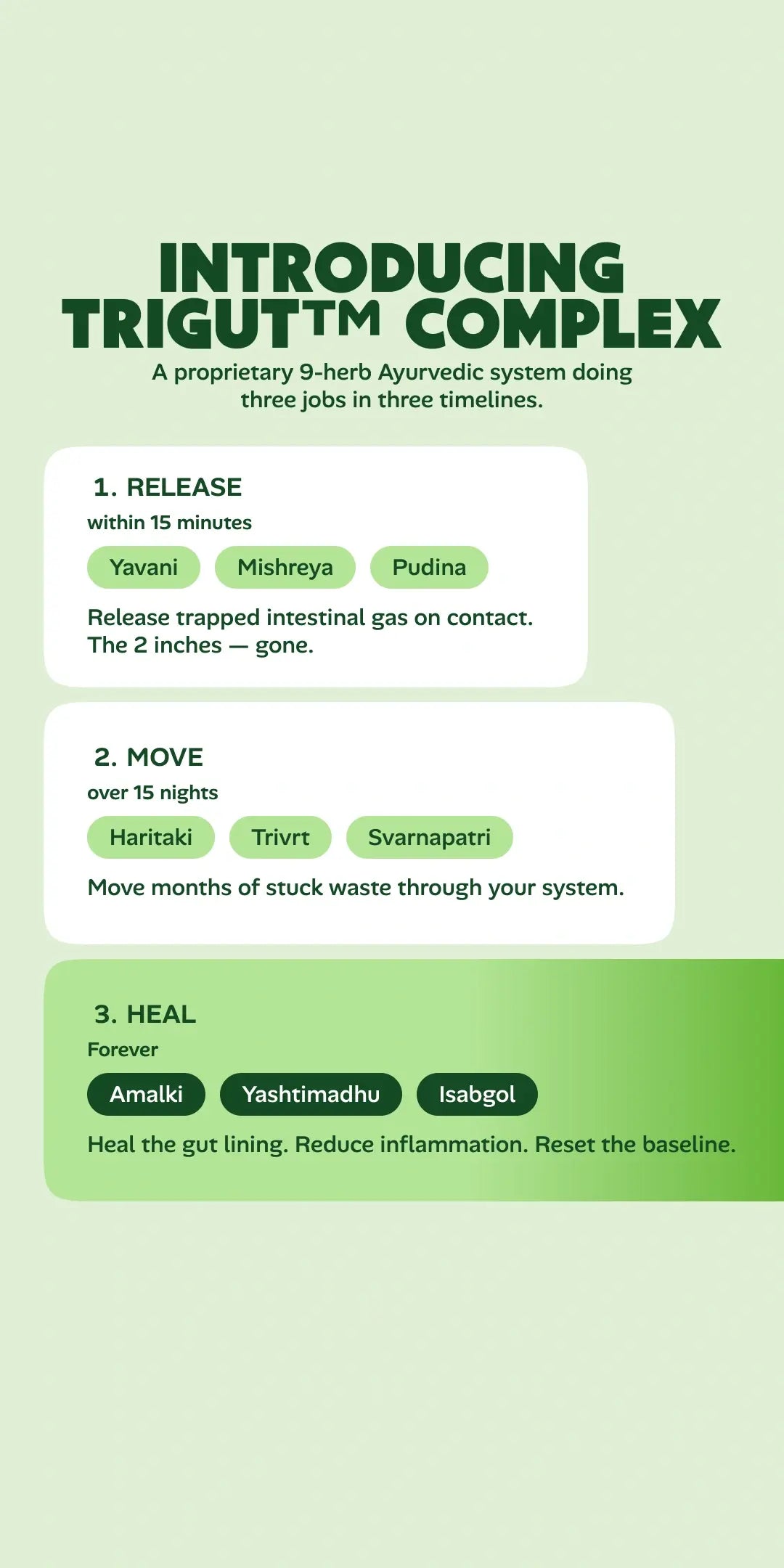 15-Day Gut Cleaner